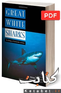 Great White Sharks