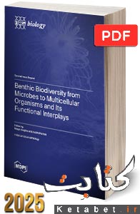 Benthic Biodiversity from Microbes to Multicellular Organisms and Its Functional Interplays
