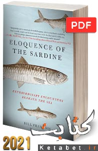 Eloquence of the Sardine: Extraordinary Encounters Beneath the Sea