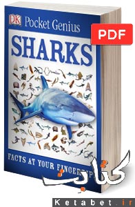 Sharks: facts at your fingertips