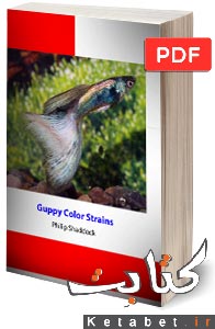 Guppy Color Strains