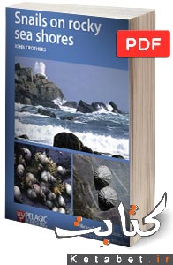 Snails on rocky sea shores