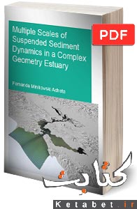 Multiple scales of suspended sediment dynamics in a complex geometry estuary