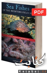 Sea Fishes of the Mediterranean_Including Marine Invertebrates