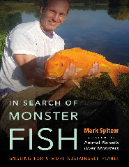 download In Search of Monster Fish, Angling for a More Sustainable Planet 