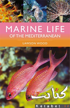 Marine Life of the Mediterranean
