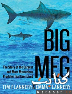 Big Meg: The Story of the Largest and Most Mysterious Predator that Ever Lived