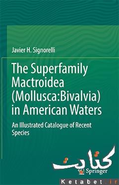 The Superfamily Mactroidea (Mollusca:Bivalvia) in American Waters