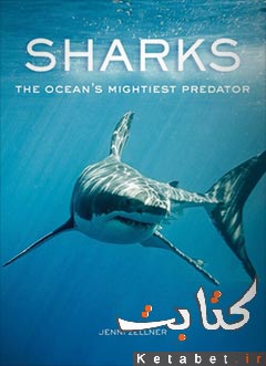 Sharks The Oceans Mightiest Predator