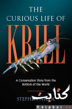 The Curious Life of Krill