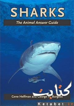 Sharks_The Animal Answer Guide