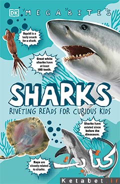 Sharks_Riveting Reads for Curious Kids