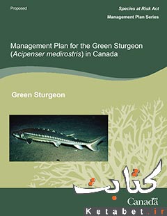Management Plan for the Green Sturgeon