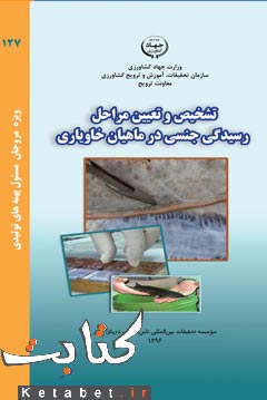 تشخیص و تعیین مراحل رسیدگی جنسی در ماهیان خاویاری