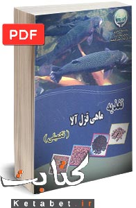 تغذیه ماهی قزل آلا